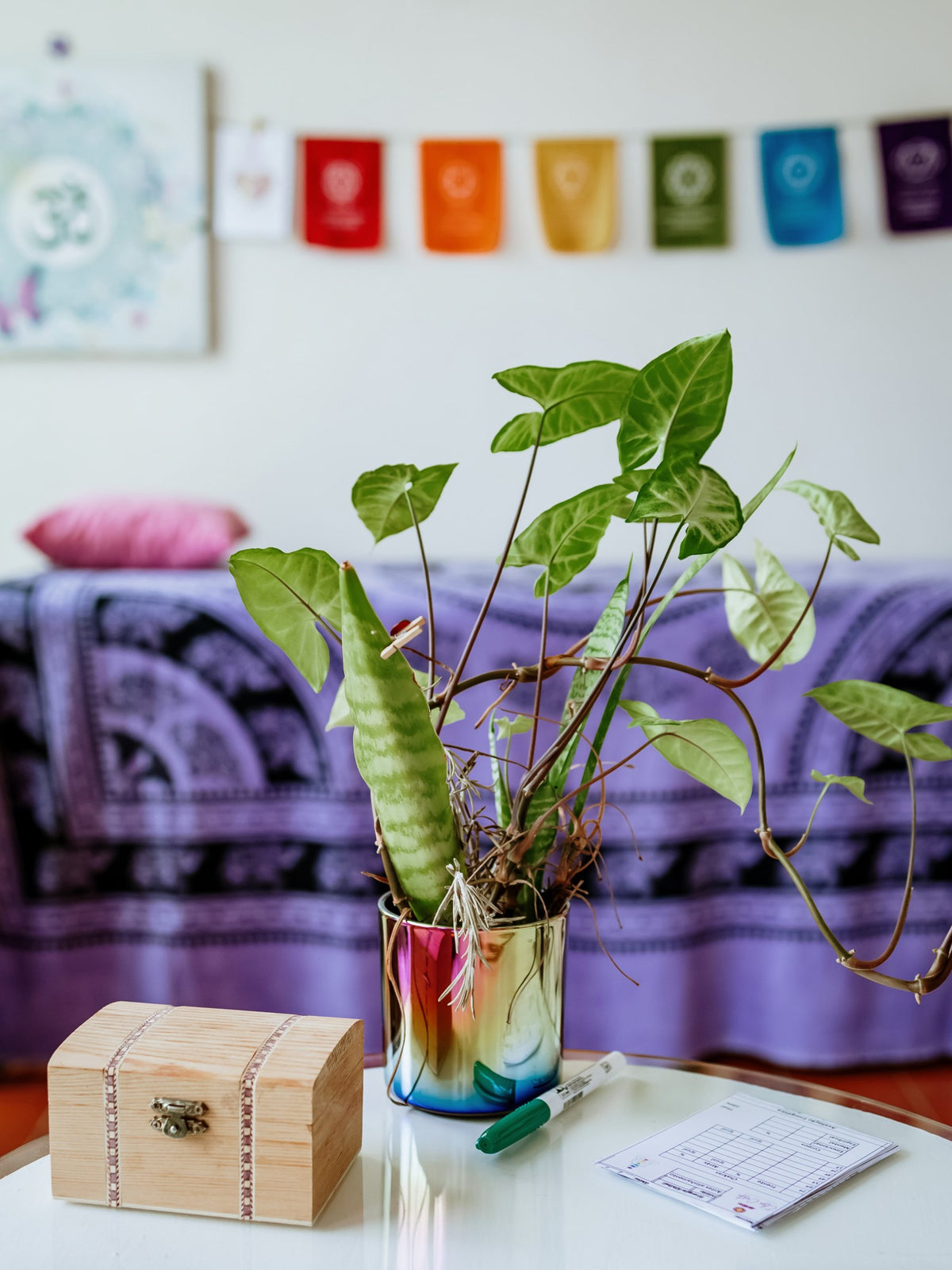 Detalhe do Espaço Zen com planta e bandeiras dos chakras